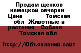 Продам щенков немецкой овчарки › Цена ­ 5 000 - Томская обл. Животные и растения » Собаки   . Томская обл.